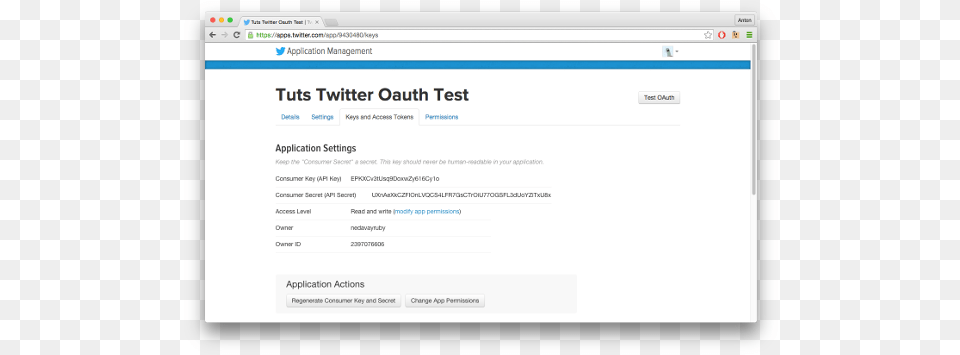 How To Authenticate Users With Twitter Oauth 20 Technology Applications, File, Page, Text, Webpage Png