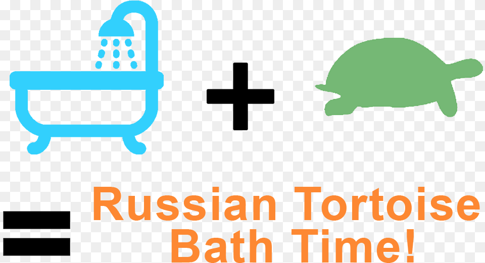 How To Bathe A Russian Tortoise, Animal, Mammal, Pig, Reptile Free Png
