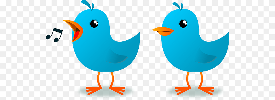 How To Be A Rockstar Twitter Chat Moderator Ditch That Textbook, Animal, Beak, Bird Png