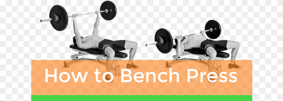How To Bench Press On Tmhn, Person, Bench Press, Fitness, Gym Free Png Download