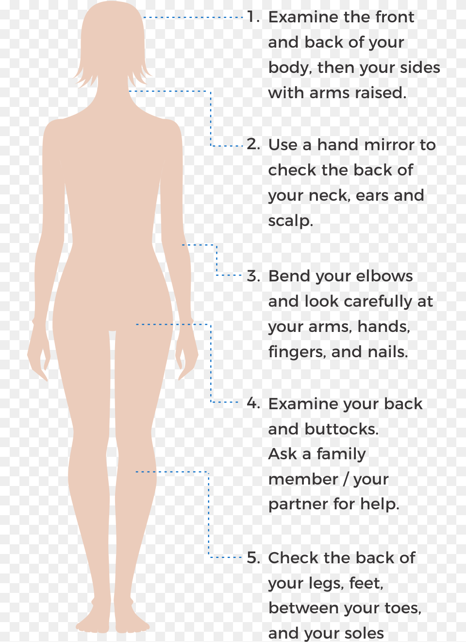 How To Check Your Skin Spots Girl, Chart, Measurements, Plot, Adult Png Image