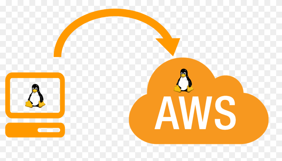 How To Clone A Linux Box Into Amazon, Animal, Bird, Penguin Free Png Download
