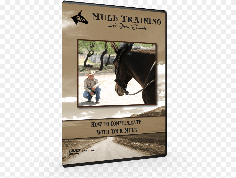 How To Communicate Mule Training Techniques Video Stallion, Person, Animal, Colt Horse, Horse Free Png