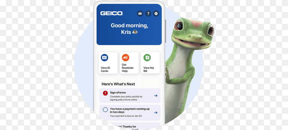 How To Contact Us Customer Service Geico Phone Number Customer Service, Animal, Disk Png