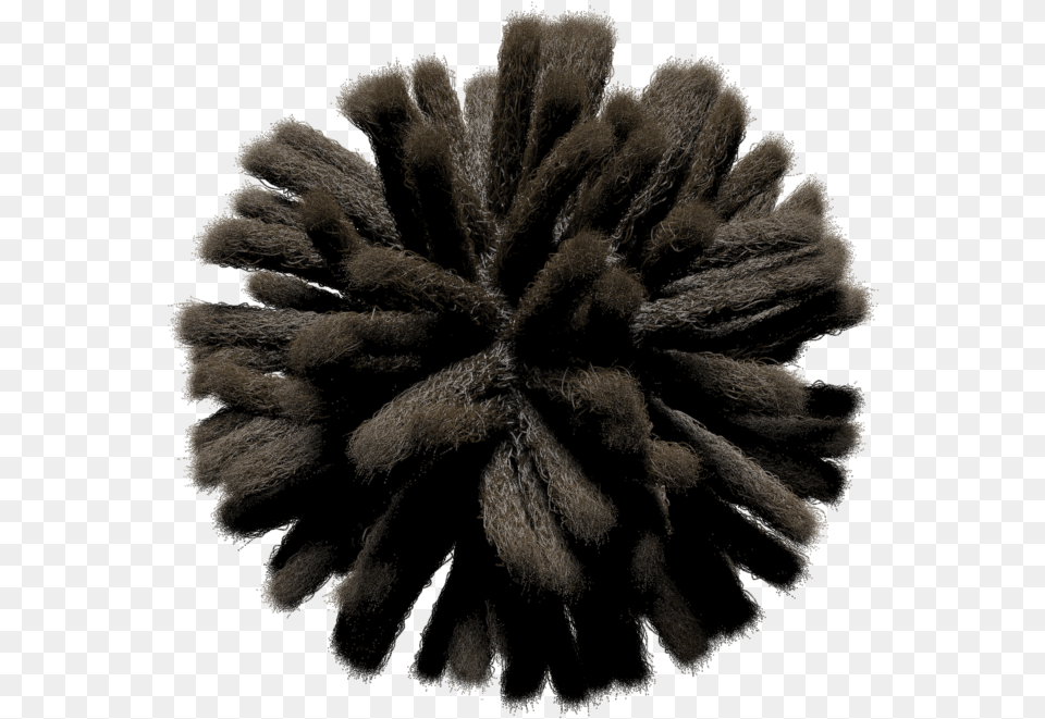 How To Create Hair Styled Like Dreadlocks Dreads Transparent, Plant, Fireworks Free Png Download