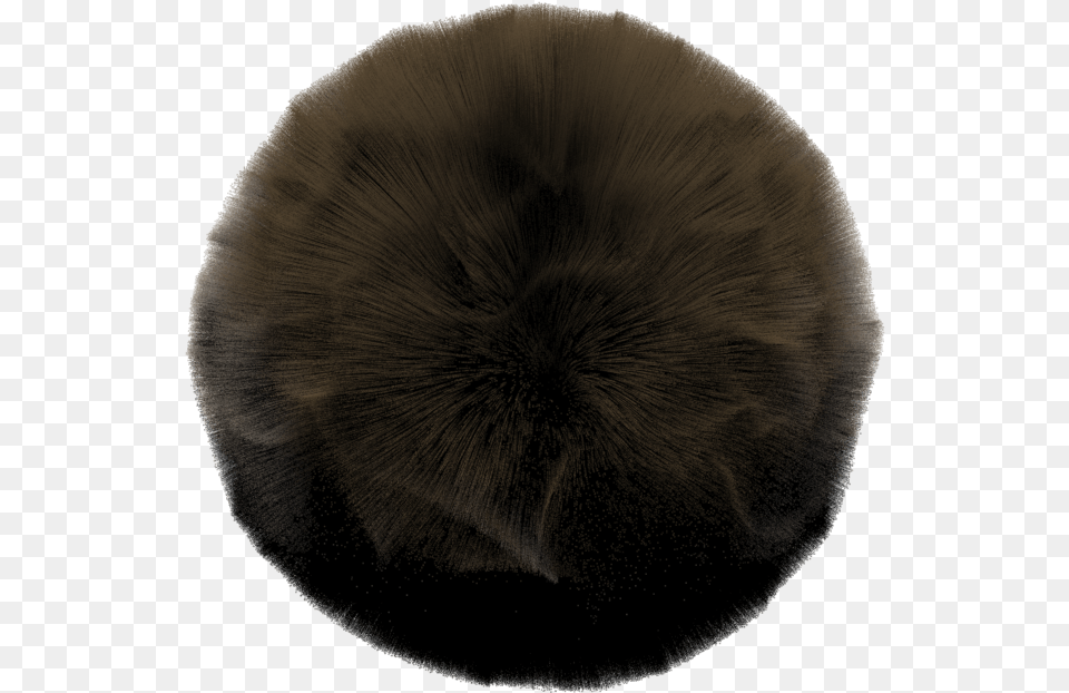 How To Create Hair Styled Like Dreadlocks Fur Clothing, Home Decor, Cushion, Hat Free Transparent Png