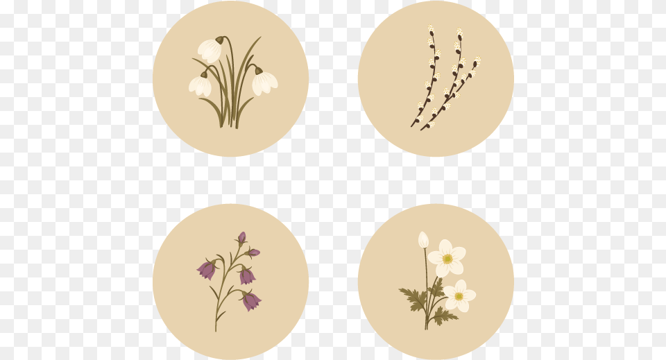How To Create Spring Flowers From Basic Shapes In Adobe Beige Flower Drawing, Art, Floral Design, Graphics, Pattern Png Image