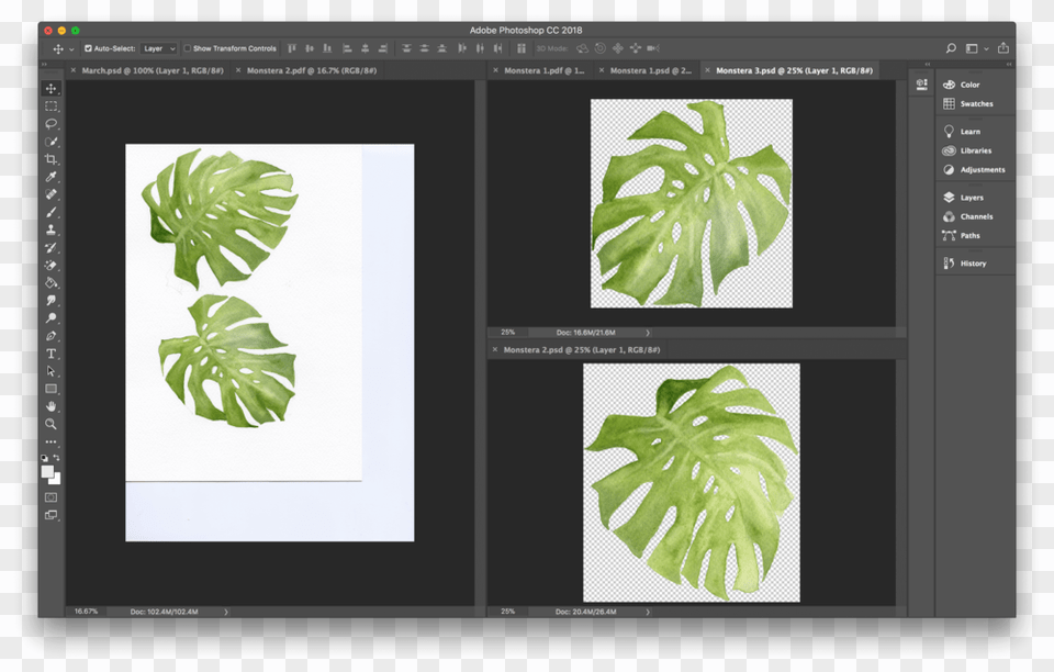 How To Digitize Watercolor Watercolor Painting, Plant, Leaf, Vegetation, Tree Free Png Download