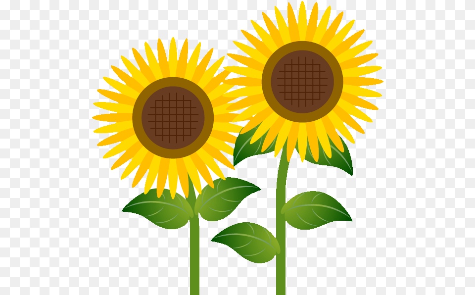 How To Download Flower Cliparts Clipart Transparent Sunflower Clip Art Free, Plant Png Image