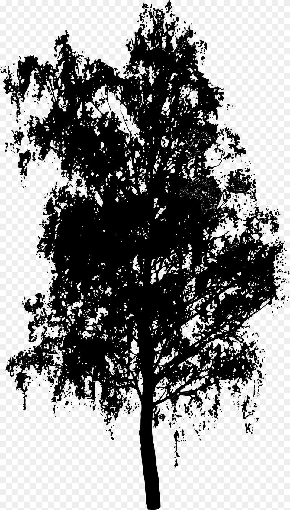 How To Draw A Birch Tree Stencils Tree, Gray Png