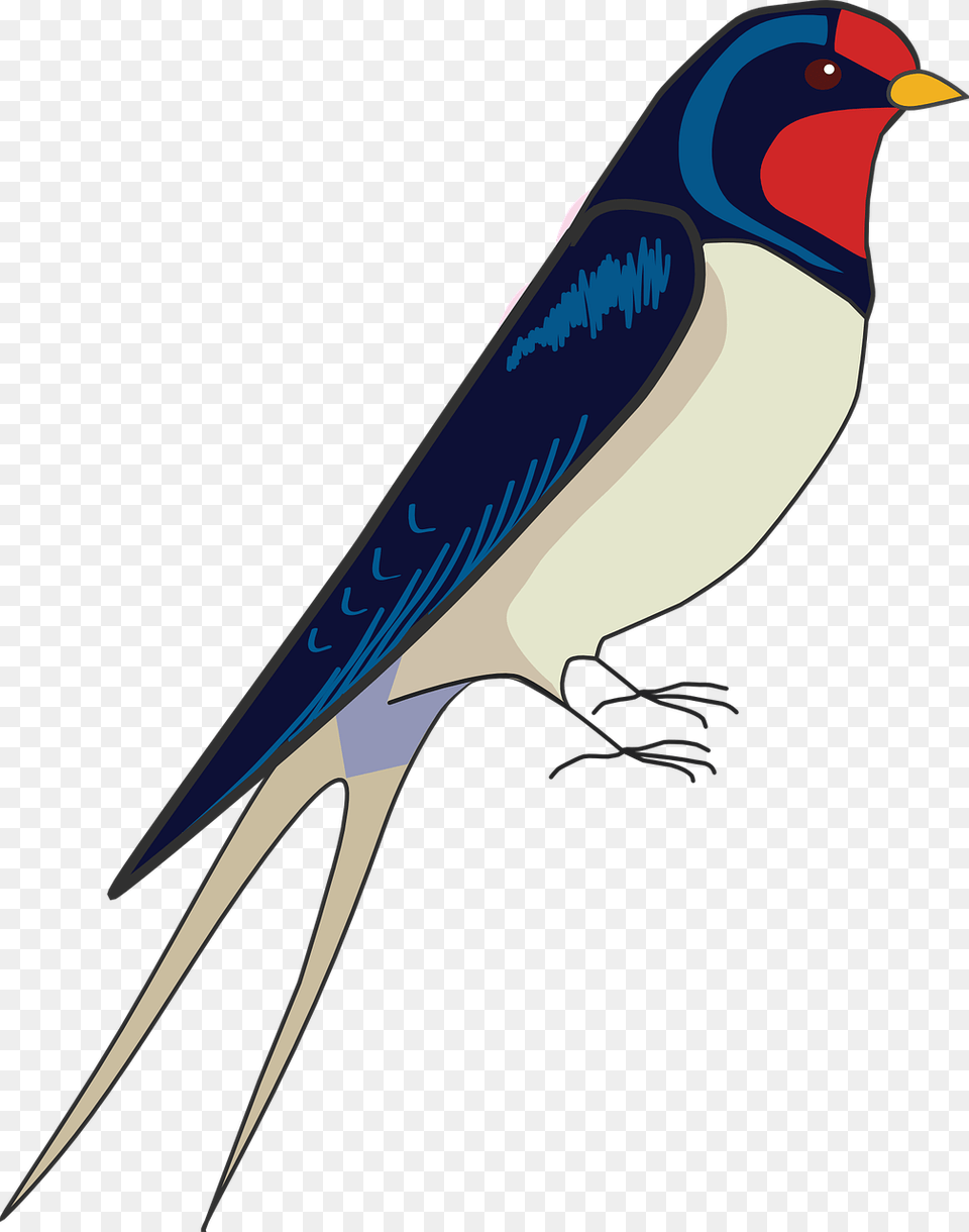 How To Draw A Bird How To Draw A Swallow Draw Easy Swallow Bird, Animal, Blade, Dagger, Knife Png Image