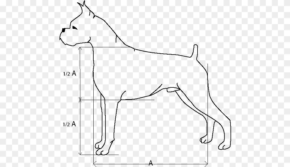 How To Draw A Boxer Dog Airedale Terrier, Gray Png