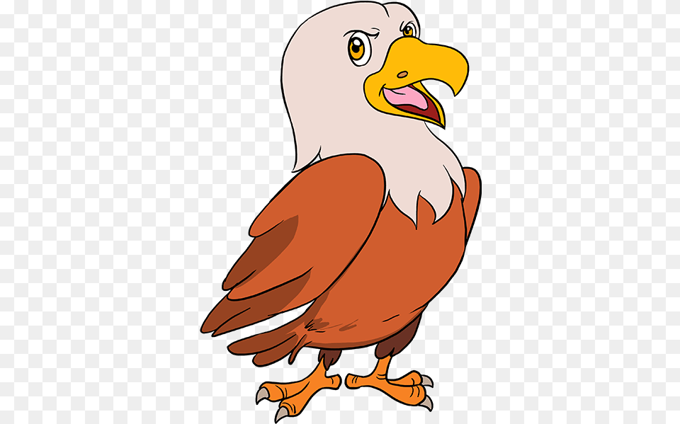 How To Draw A Cartoon Hawk Really Easy Drawing Tutorial Cartoon Hawk Clipart, Animal, Beak, Bird, Eagle Png