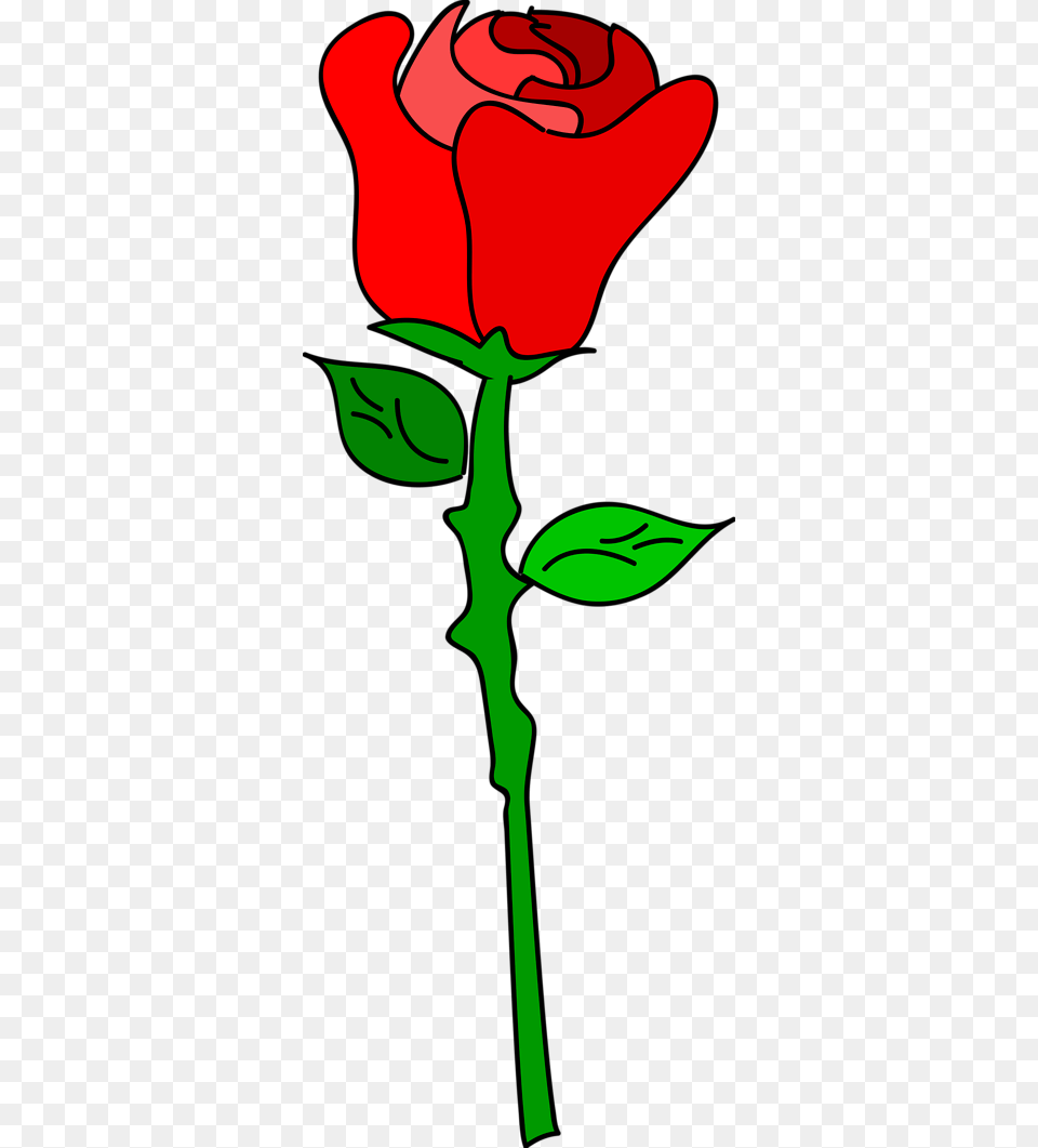 How To Draw A Cartoon Rose, Flower, Plant, Person Png