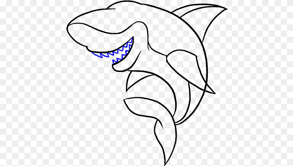 How To Draw A Cartoon Shark Easy Step By Drawing Guides Drawing Free Png