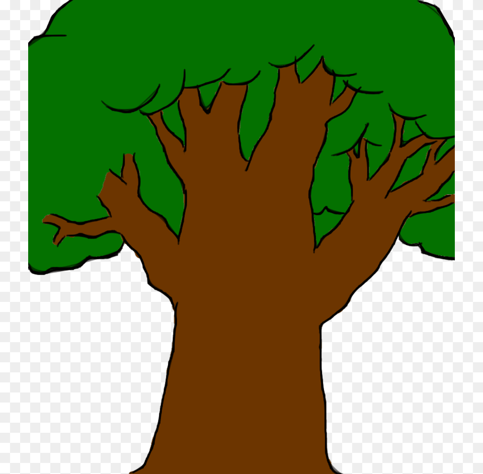 How To Draw A Cartoon Tree By S315 On Clipart Library Draw A Cartoon Tree, Plant, Baby, Person, Vegetation Png