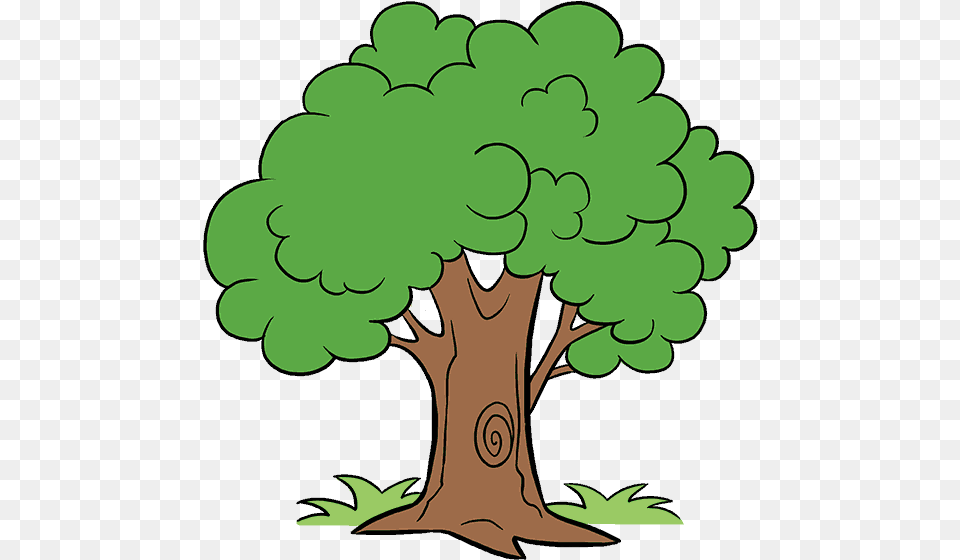 How To Draw A Cartoon Tree Tree In Cartoon, Plant, Green, Vegetation, Tree Trunk Free Transparent Png