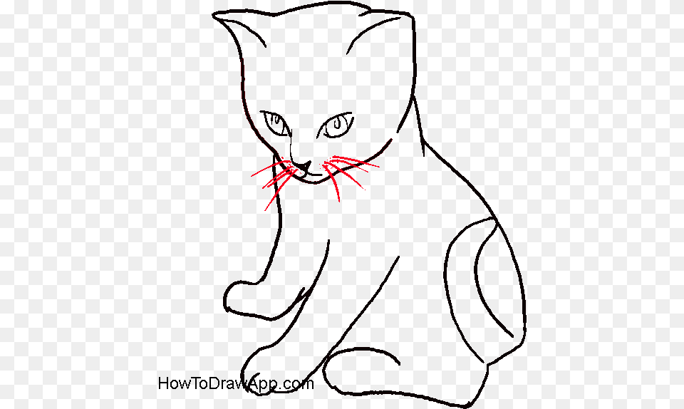 How To Draw A Cat Sitting Down Step By Step Cats Step By Step, Animal, Mammal, Pet Free Png