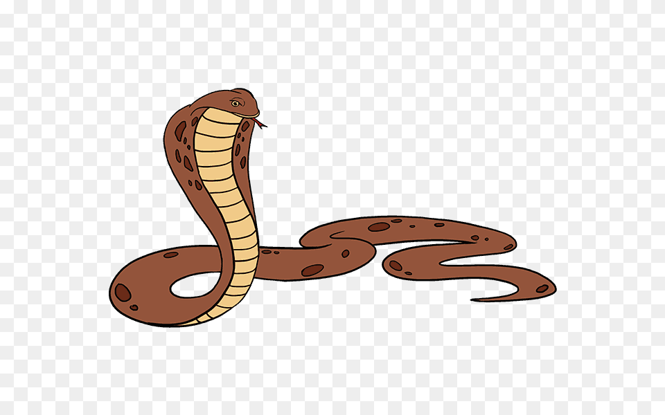 How To Draw A Cobra Easy Step, Animal, Reptile, Snake, Aircraft Png