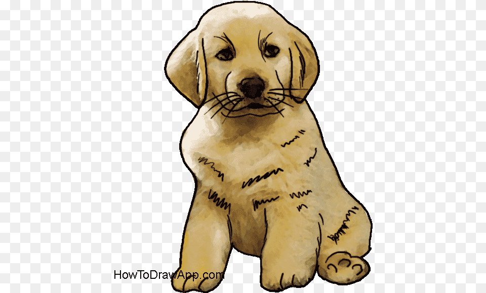 How To Draw A Cute Puppy Dog Dog, Animal, Canine, Mammal, Pet Png