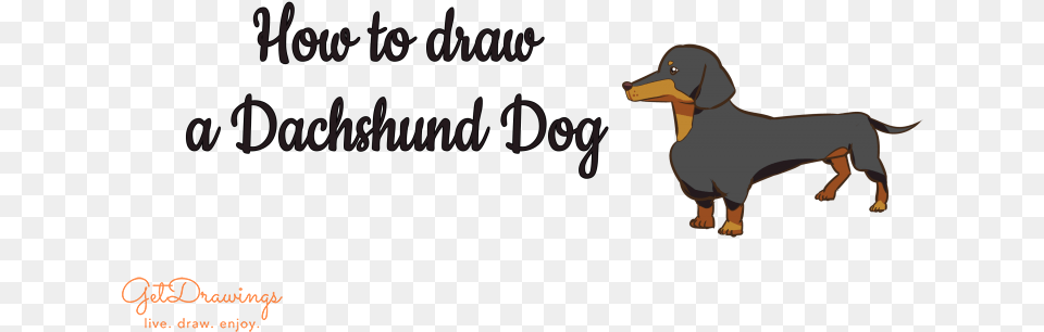 How To Draw A Dachshund Dog Dachshund, Animal, Canine, Mammal, Pet Free Transparent Png