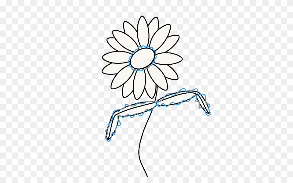 How To Draw A Daisy Easy Drawing Guides, Flower, Plant Free Png Download