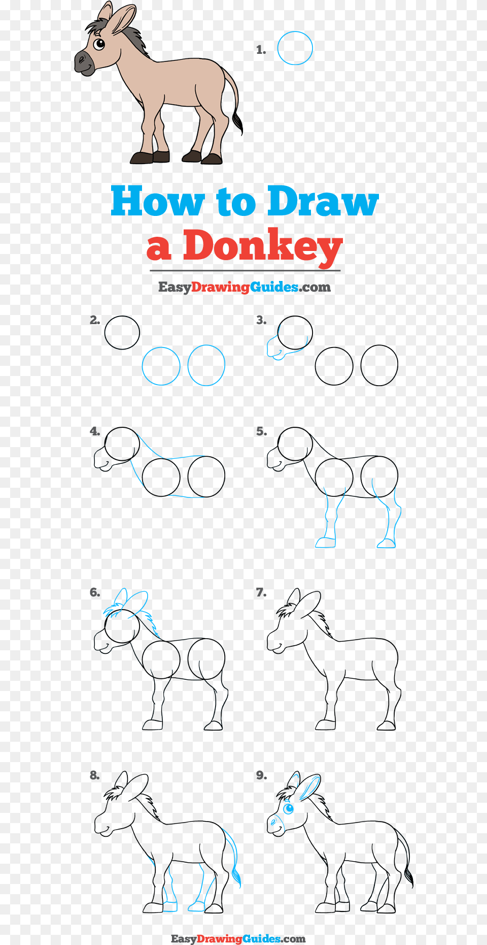 How To Draw A Donkey Phoenix Drawing Easy Step By Step, Advertisement, Poster, Book, Publication Free Transparent Png