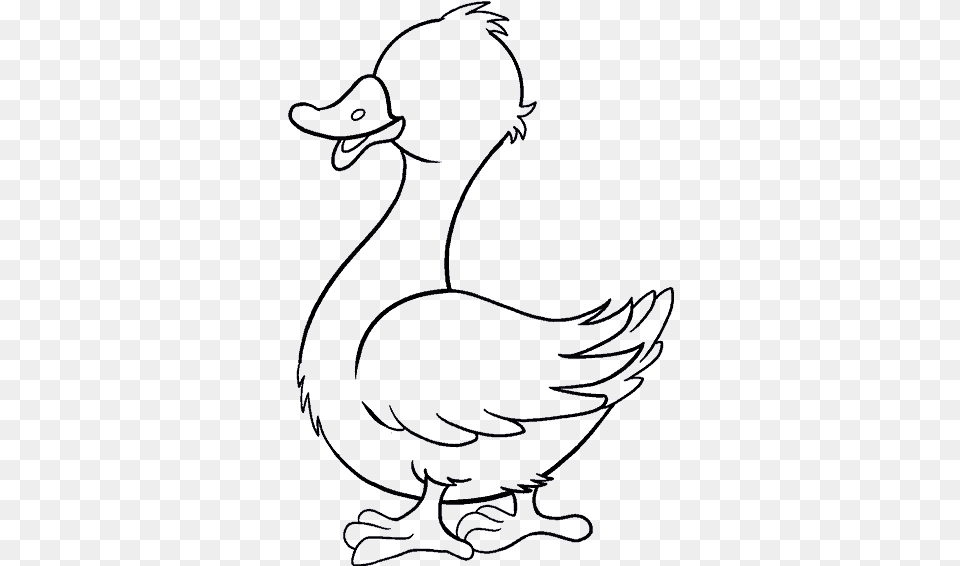 How To Draw A Duck In A Few Easy Steps Duck Drawing, Animal, Bird, Person Png Image