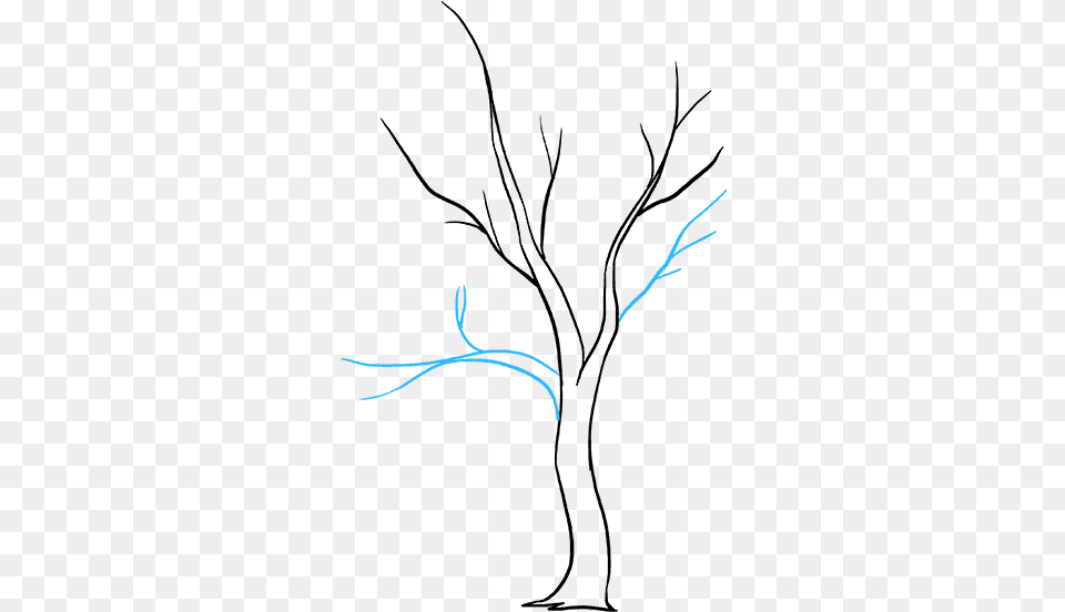 How To Draw A Fall Tree Illustration, Handwriting, Text Png