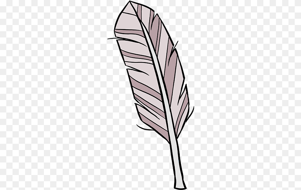 How To Draw A Feather, Leaf, Plant, Bottle, Person Png