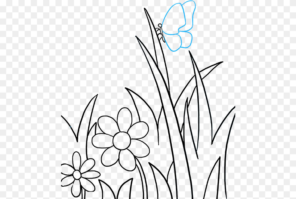 How To Draw A Flowers And Butterfly Drawing, Art Free Png