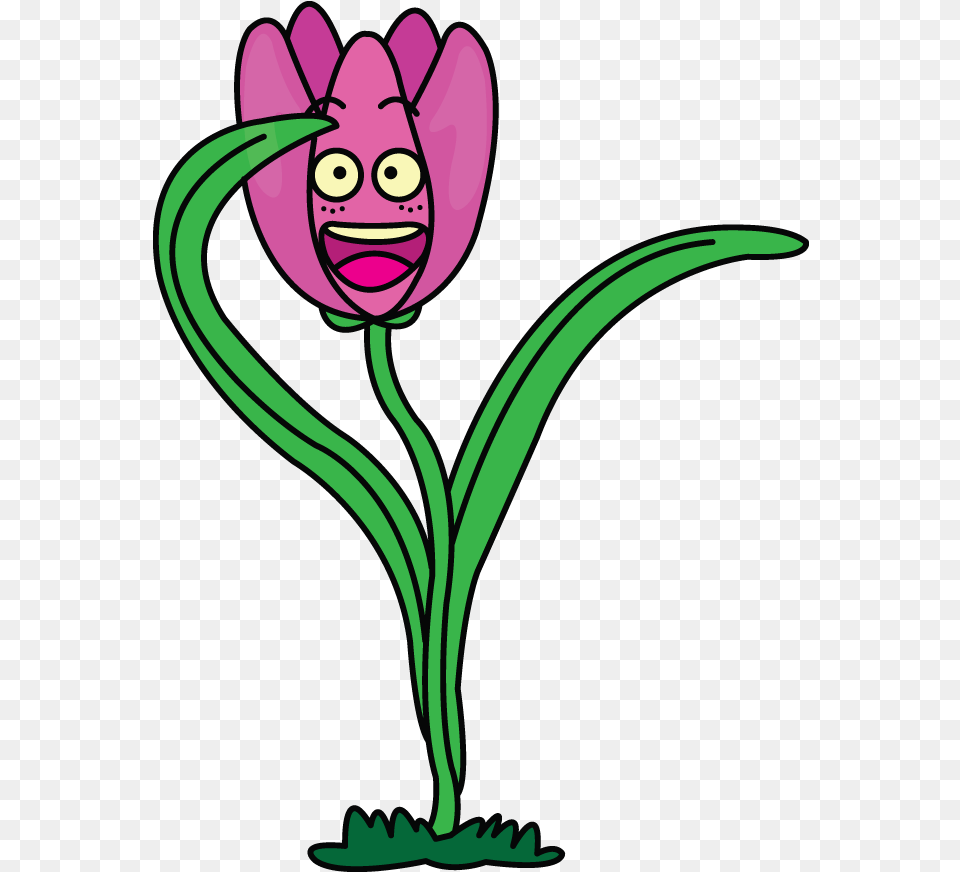 How To Draw A Funny Tulip Funny Plant Clip Art, Flower, Purple Png Image