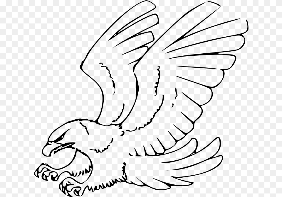 How To Draw A Hawk Red Tailed Hawk Eagle Clipart Black And White, Gray Free Png