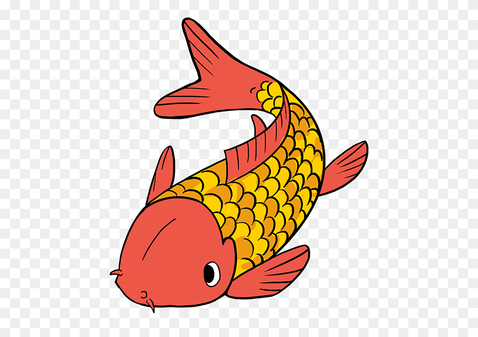 How To Draw A Koi Fish, Animal, Sea Life, Shark, Carp Free Transparent Png