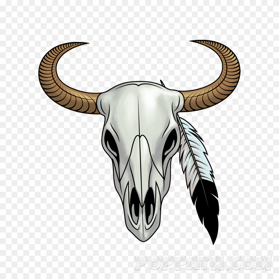How To Draw A Longhorn Skull Pop Path, Animal, Bull, Emblem, Symbol Free Png