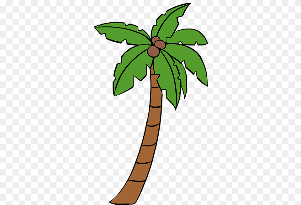 How To Draw A Palm Tree Really Easy Drawing Tutorial Palm Tree Drawing, Leaf, Palm Tree, Plant, Person Free Png