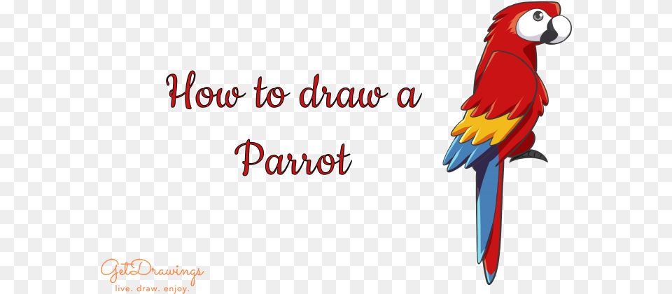 How To Draw A Parrot Macaw, Animal, Bird Free Png Download