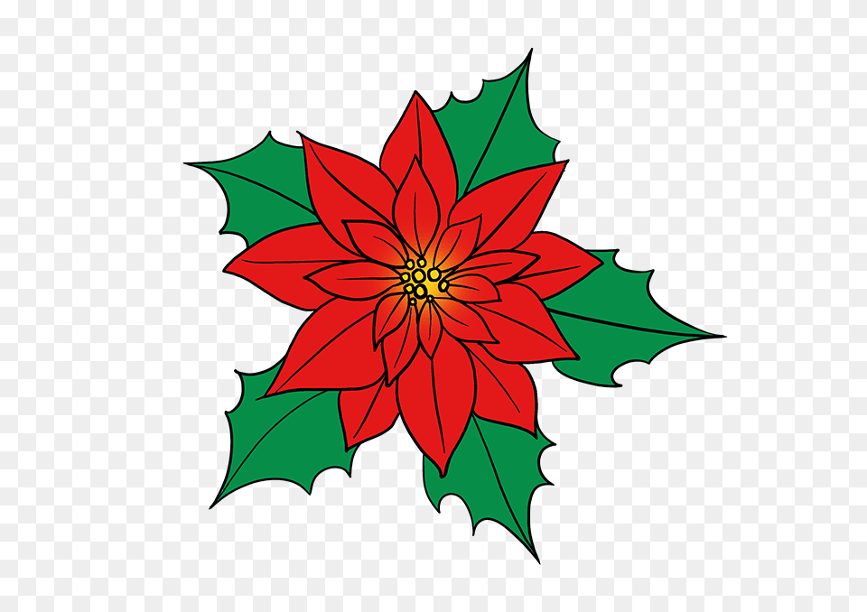 How To Draw A Poinsettia, Dahlia, Flower, Leaf, Plant Free Transparent Png