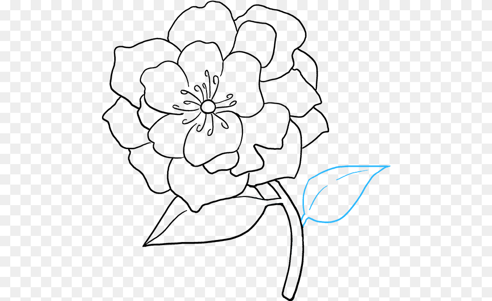 How To Draw A Really Easy Tutorial Cut Flower Drawing, Accessories, Glasses, Lighting, Light Free Png Download