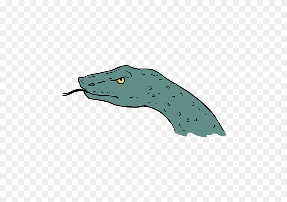 How To Draw A Snake Head, Animal, Mammal, Sea Life, Whale Free Transparent Png