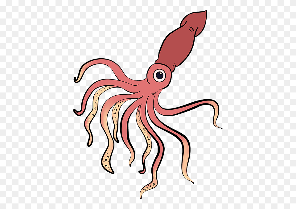 How To Draw A Squid, Food, Seafood, Animal, Sea Life Free Png