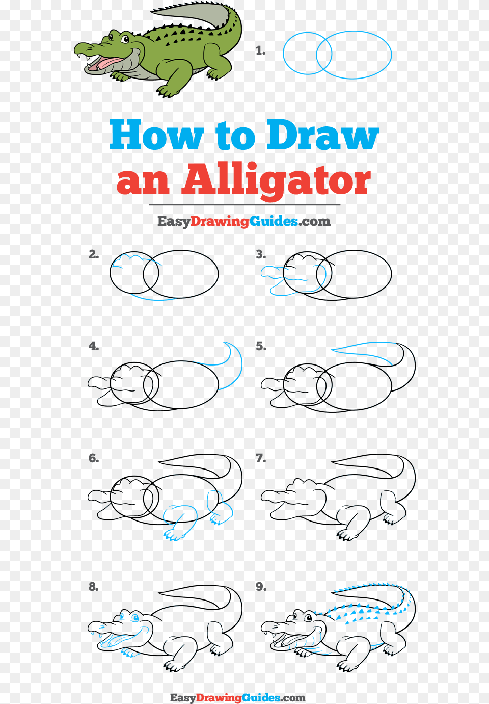 How To Draw Alligator Draw A Playground Step By Step, Animal, Dinosaur, Reptile, Text Png