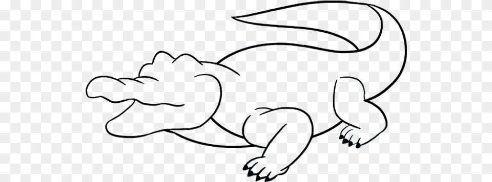 How To Draw Alligator Drawing Of A Alligator, Animal, Reptile Free Png
