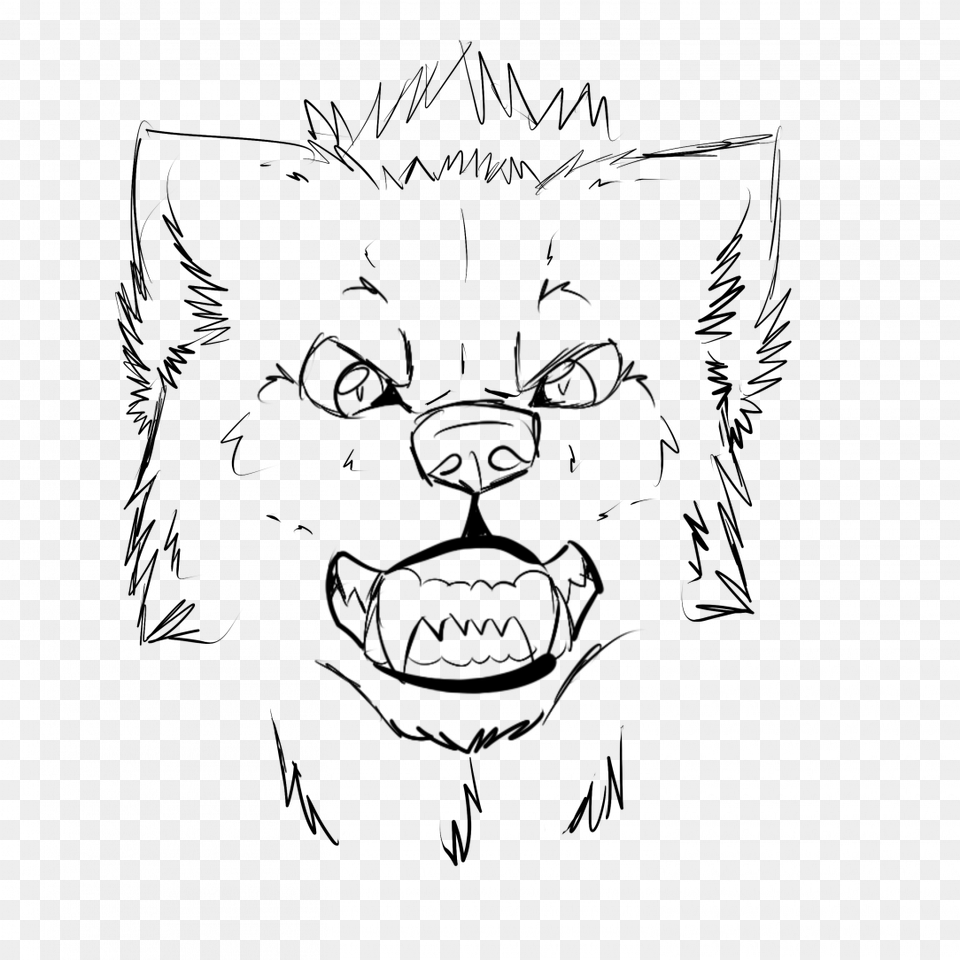 How To Draw An Wolf Head A Front View Snout Drawing Wolf, Gray Free Transparent Png