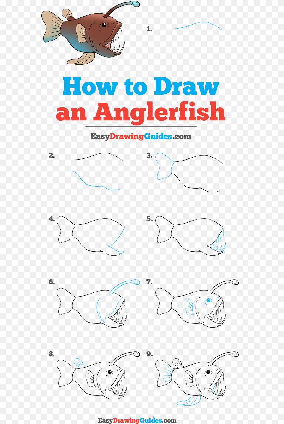 How To Draw Angler Fish Creative Words, Animal, Sea Life, Outdoors, Nature Png