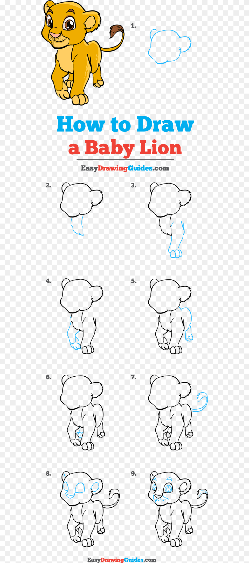 How To Draw Baby Lion Draw A Baby Lion, Animal, Mammal, Wildlife, Text Free Png