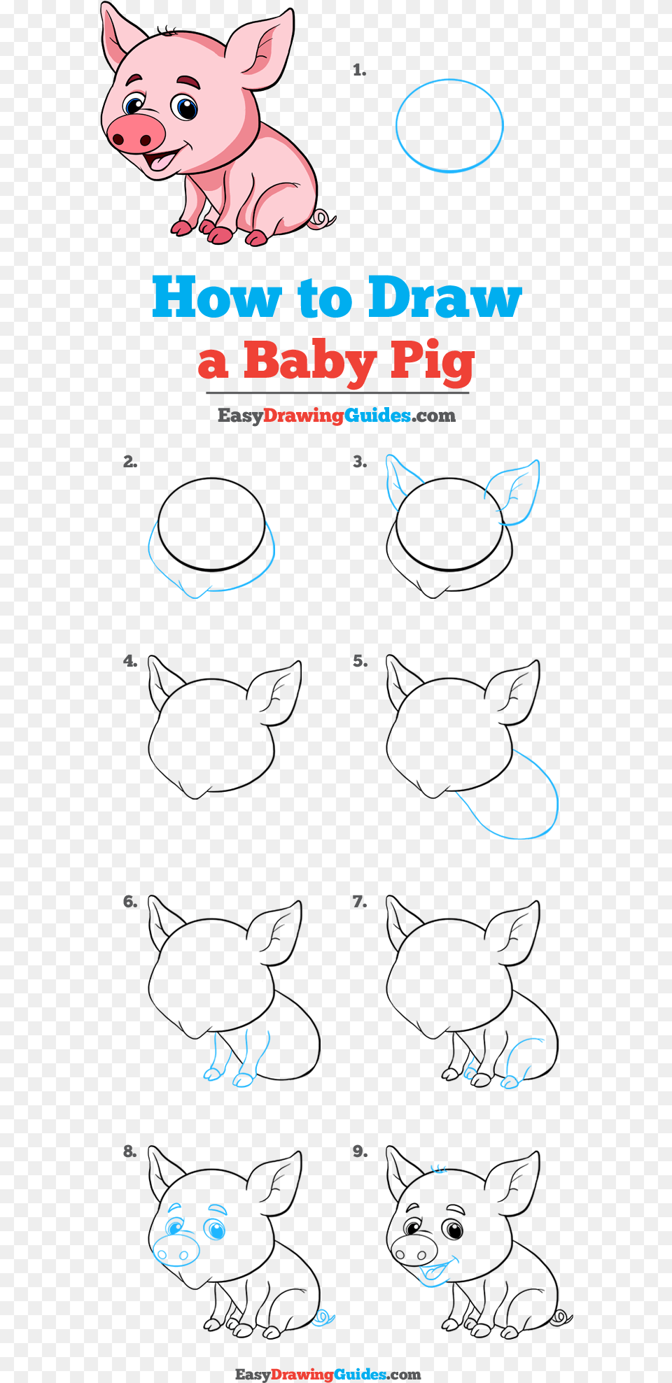 How To Draw Baby Pig Step By Step Easy Pig Drawing, Animal, Mammal Free Png