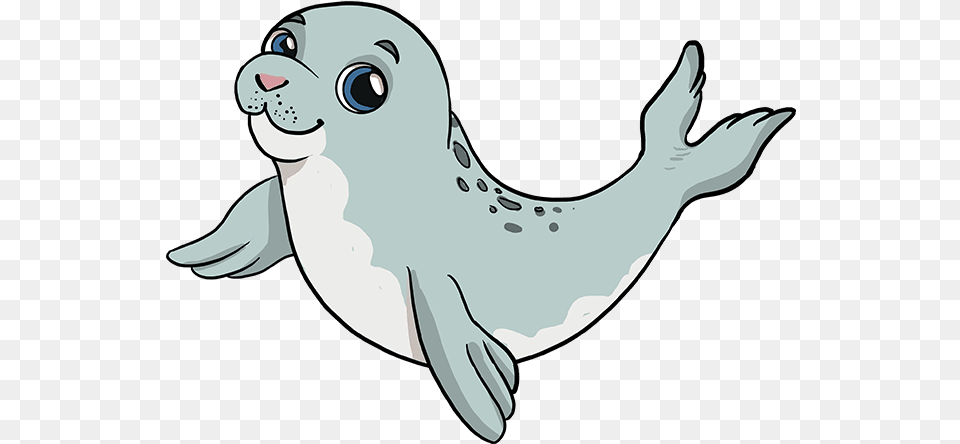 How To Draw Baby Seal Draw A Baby Seal, Animal, Mammal, Sea Life, Sea Lion Png