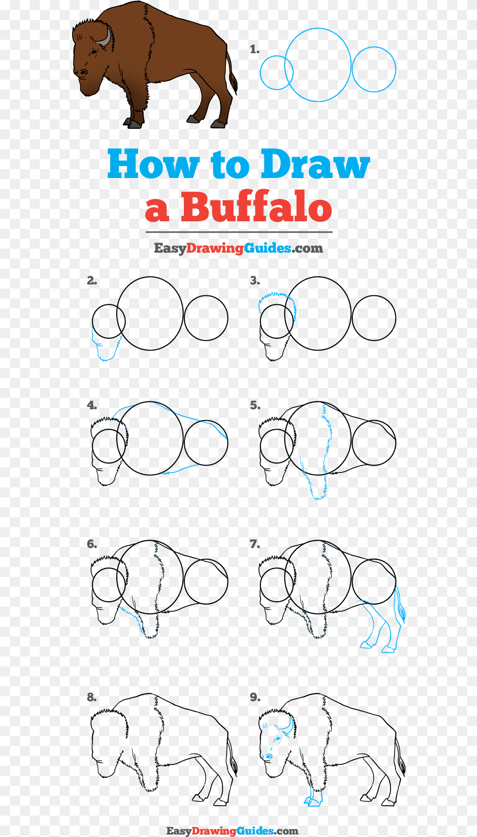How To Draw Buffalo Draw A Football Step By Step, Book, Publication, Person, Face Png Image