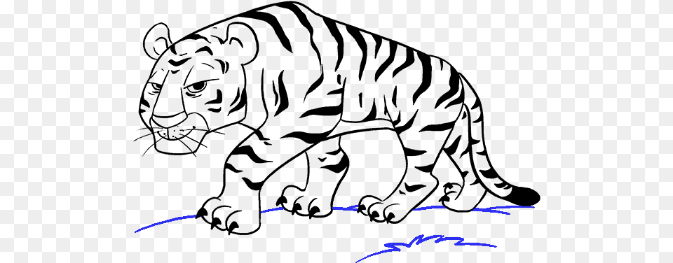 How To Draw Cartoon Tiger Tiger Cartoon Drawing Easy, Fireworks, Lighting Png Image